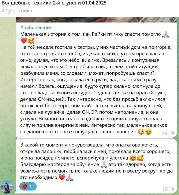 Изображение чата в мессенджере, где участники обсуждают историю о том, как сестра спасла птицу с помощью Рейки. В сообщении рассказывается о взаимодействии с птицей, ощущениях и процессе исцеления, а также о связи с природой и важности помощи.